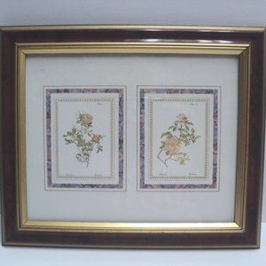 Art Resources Int'l Botanical Floral Picture Cistaceae & Rockrose Framed 10 x 12